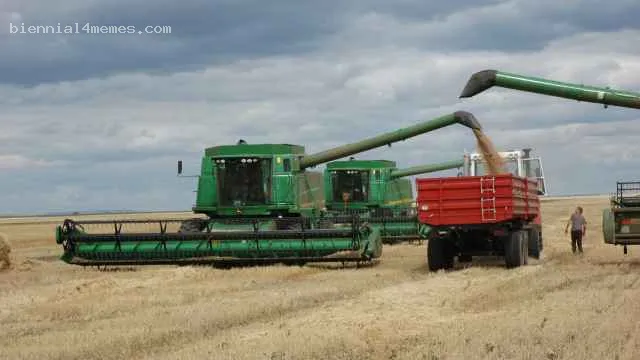 
								Россия вопреки указу Путина снизила экспорт сельхозпродукции			