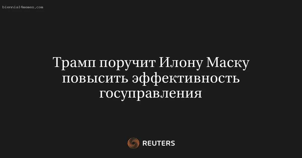 
								Трамп поручит Илону Маску повысить эффективность госуправления			