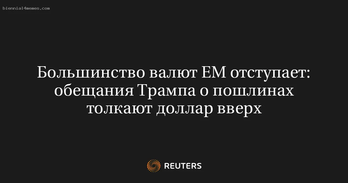 
								Большинство валют ЕМ отступает: обещания Трампа о пошлинах толкают доллар вверх			