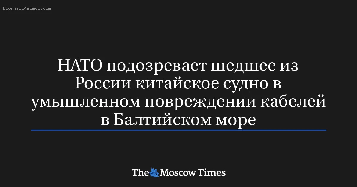 
								НАТО подозревает шедшее из России китайское судно в умышленном повреждении кабелей в Балтийском море			