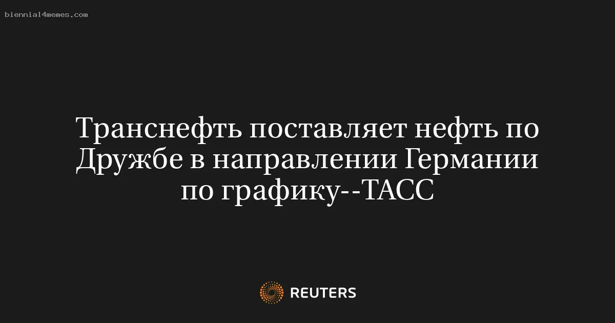 
								Транснефть поставляет нефть по Дружбе в направлении Германии по графику--ТАСС			