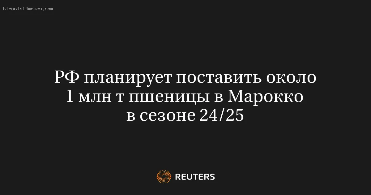 
								РФ планирует поставить около 1 млн т пшеницы в Марокко в сезоне 24/25			