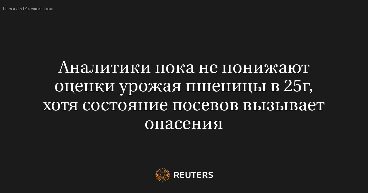 
								Аналитики пока не понижают оценки урожая пшеницы в 25г, хотя состояние посевов вызывает опасения			