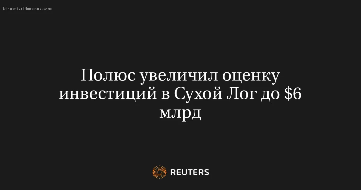 
								Полюс увеличил оценку инвестиций в Сухой Лог до $6 млрд			