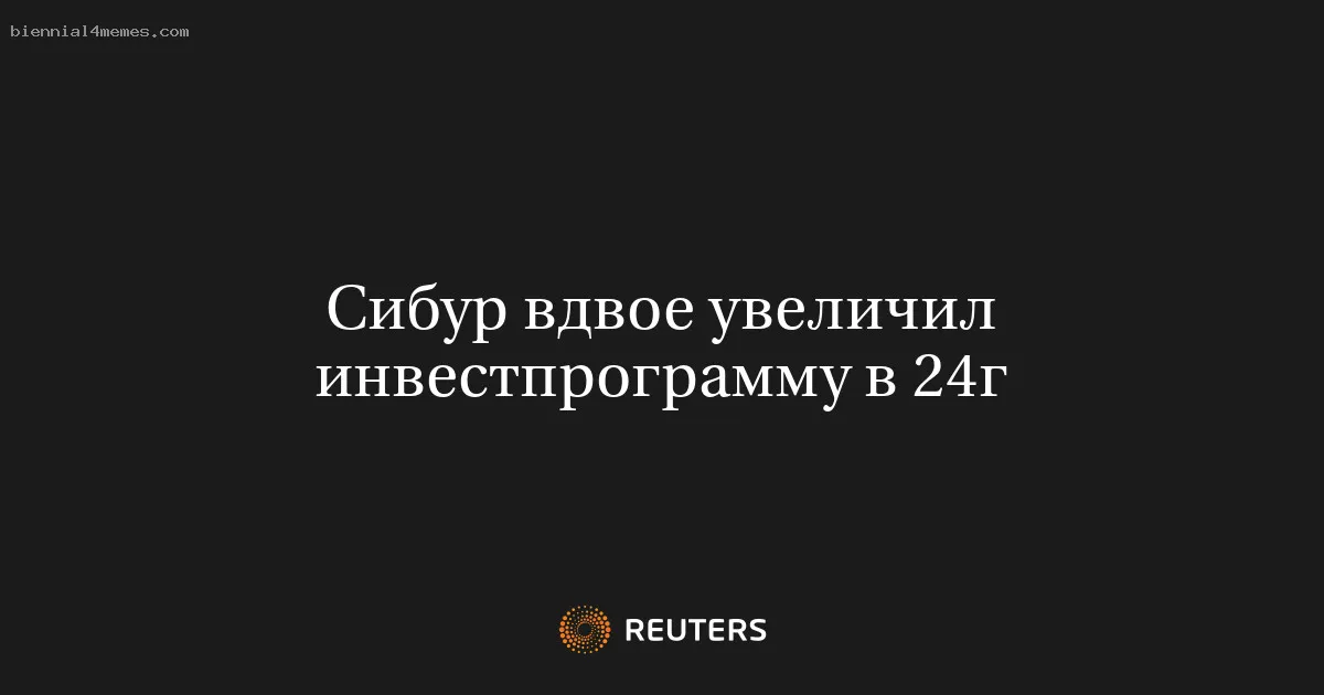 
								Сибур вдвое увеличил инвестпрограмму в 24г			