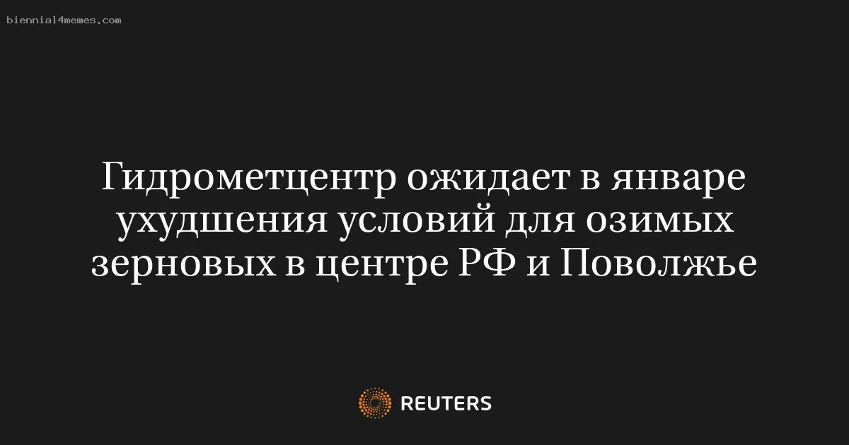 
								Гидрометцентр ожидает в январе ухудшения условий для озимых зерновых в центре РФ и Поволжье			