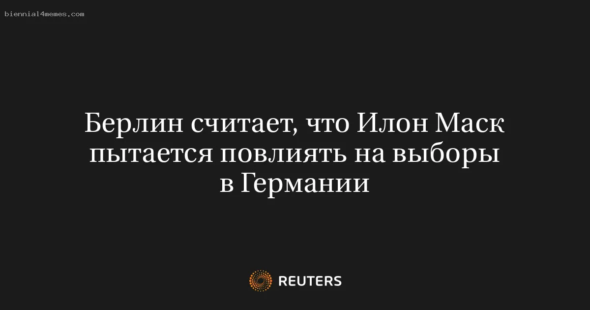 
								Берлин считает, что Илон Маск пытается повлиять на выборы в Германии			