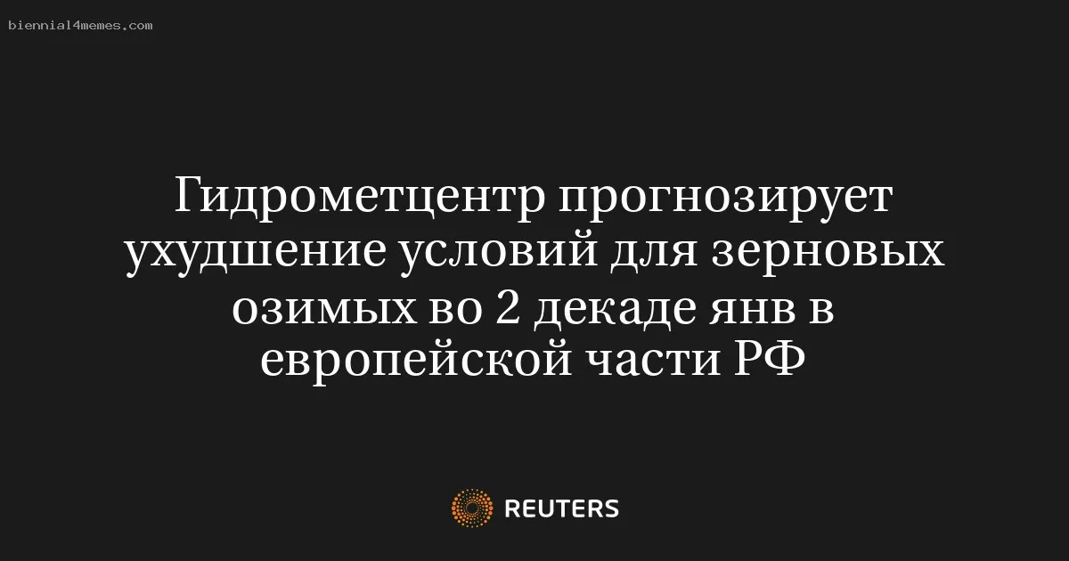 Гидрометцентр прогнозирует ухудшение условий для зерновых озимых во 2 декаде янв в европейской части РФ