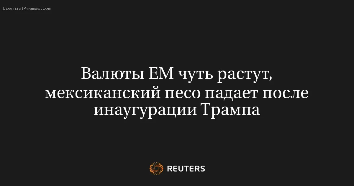 Валюты ЕМ чуть растут, мексиканский песо падает после инаугурации Трампа