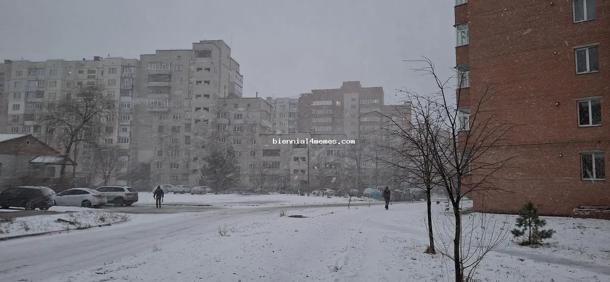 Ветер 30 м/с, снег и дождь: в каких областях объявили штормовое предупреждение