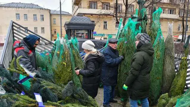 
								Цены на новогодние елки с начала войны взлетели на 76%			