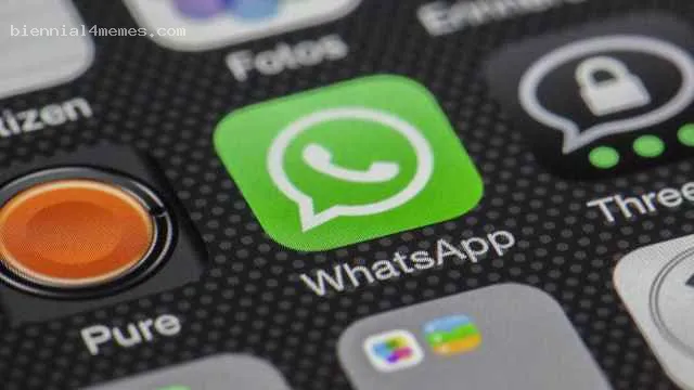 
								В Госдуме допустили блокировку WhatsApp из-за «отсутствия контакта» с силовиками 			