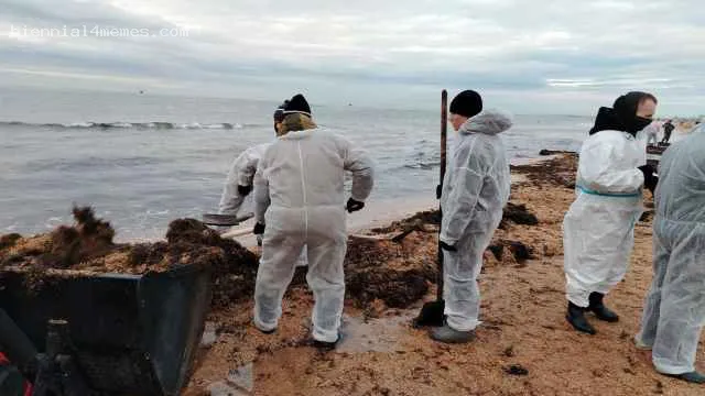 После крушения танкеров в Черном море осело 5 тысяч тонн мазута